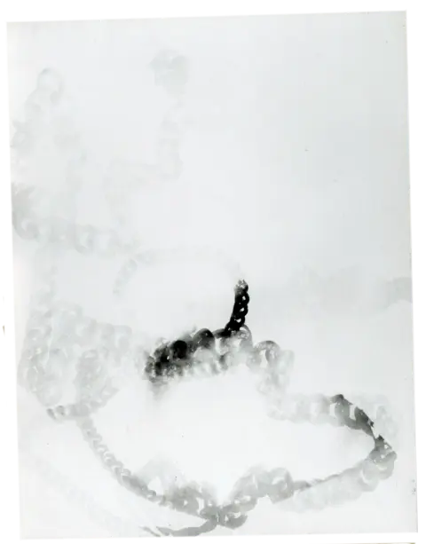 Fotogramm 1